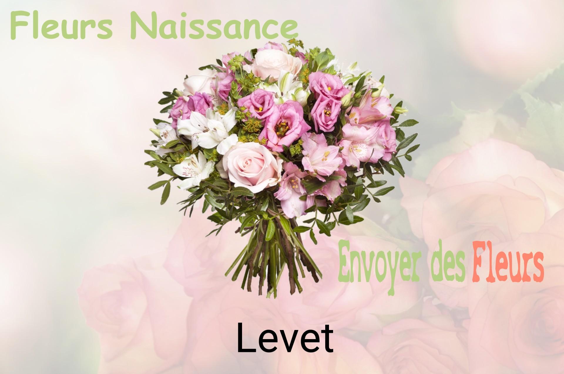 Bouquet de fleurs de naissance livré à Levet